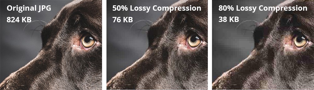 Example of lossy compression. As the compression amount increases, the image quality becomes visibly worse.