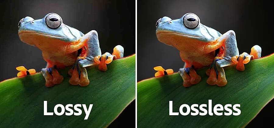 A comparison of a lossless and lossy image of a frog sitting on a leaf. The quality of the lossy image is visibly worse.